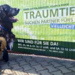 Das schöne Banner gibt es nicht mehr, Traumtiere schon!