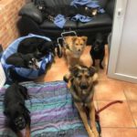 Die Kaffeezimmertruppe, je nach Belegschaft immer unterschiedlich