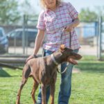 Sunny war ein intensiver Gast