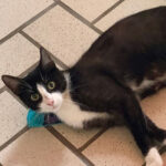 Sie hat sich wohlgefühlt bei uns :)