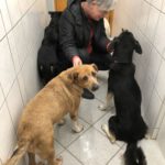 Begrüßung der alten Damen