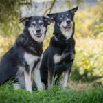 Hani und Fanni (Foto: Sandra Zittlau)