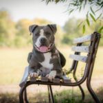 Feivel (Foto: Sandra Zittlau)