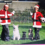 Gal_Anfaenge_0000_xmasalt