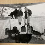 Gal_Anfaenge_0002_ZwingerBW