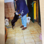 Gal_Anfaenge_0004_CorinaundHund