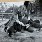 Gal_Anfaenge_0004_corinaundwelpen