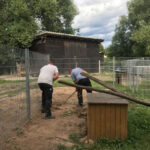 Anfänge des Lottihauses- erstmal muss der Zaun hin