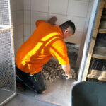 Sie lieben es Löcher in die Wände zu machen- Wege in die Freiheit