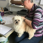 Büroarbeit ist Sozialverhalten