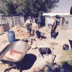 Die Jungs in ihrem Element- Mauern des LottihausesBüroarbeit ist