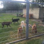 Im Sommer ist alles schöner