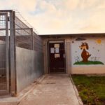 Ausgang von der Zwingeranlage-trotz lustigem Hund- Gitter sind Gitter