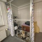 Gal_anlage_katzeninnen