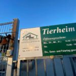 Durch diese Tür kommen Sie rein in die etwas andere Tierheimwelt