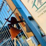 Schnecke`s Klingel-nur diese funktioniert