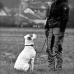 Kann es innigere Momente geben?