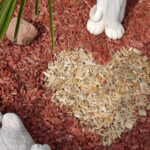 Daniel Herz fürs Tierheim im Blumenbeet