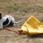 HufreuFreigerichtFest_Gal1