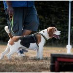 HufreuFreigerichtFest_Gal12