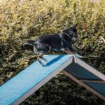 HufreuFreigerichtFest_Gal13