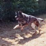 HufreuFreigerichtFest_Gal17