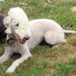 HufreuFreigerichtFest_Gal2