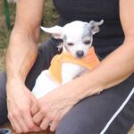 HufreuFreigerichtFest_Gal3