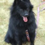 HufreuFreigerichtFest_Gal5