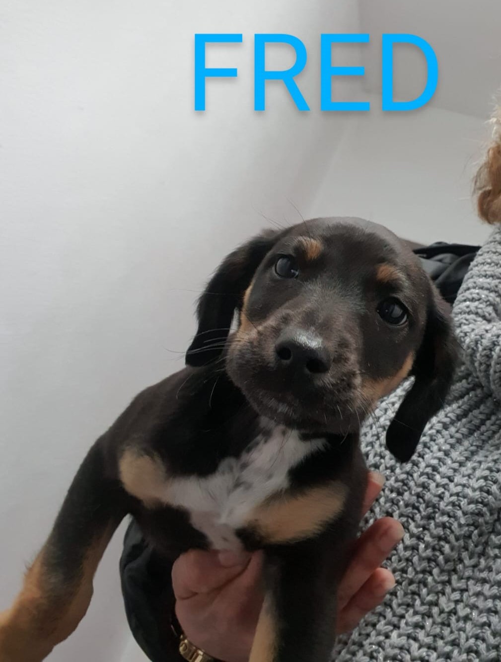 Fred 13.03.23
