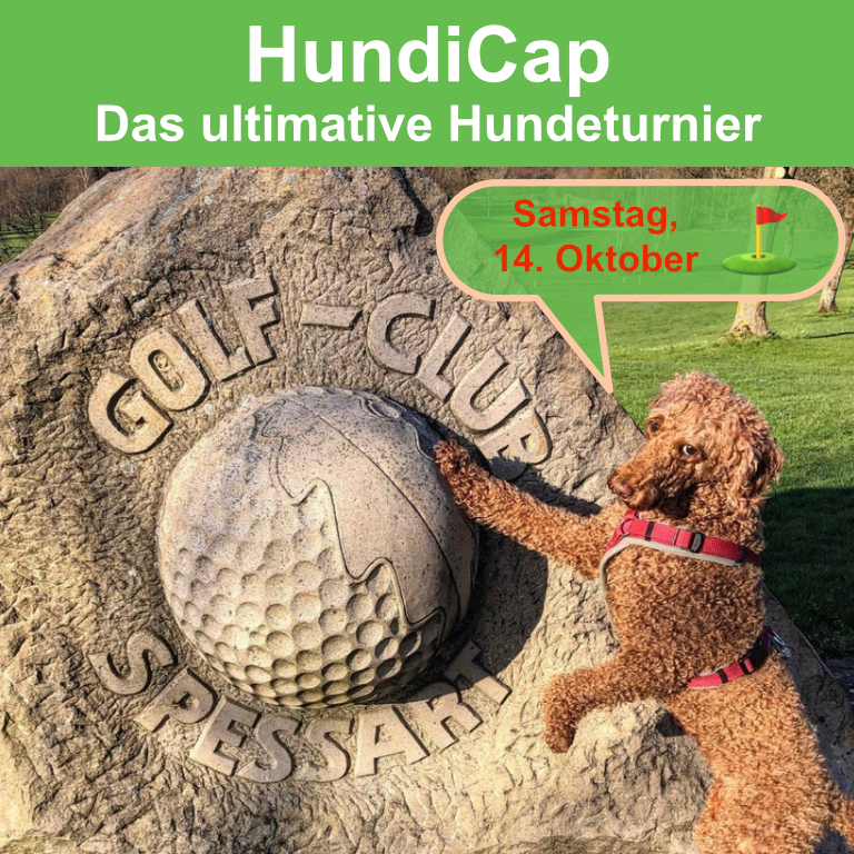 You are currently viewing HundiCap – Das ultimative Hundeturnier am 14. Okt 23 in Bad Soden-Salmünster