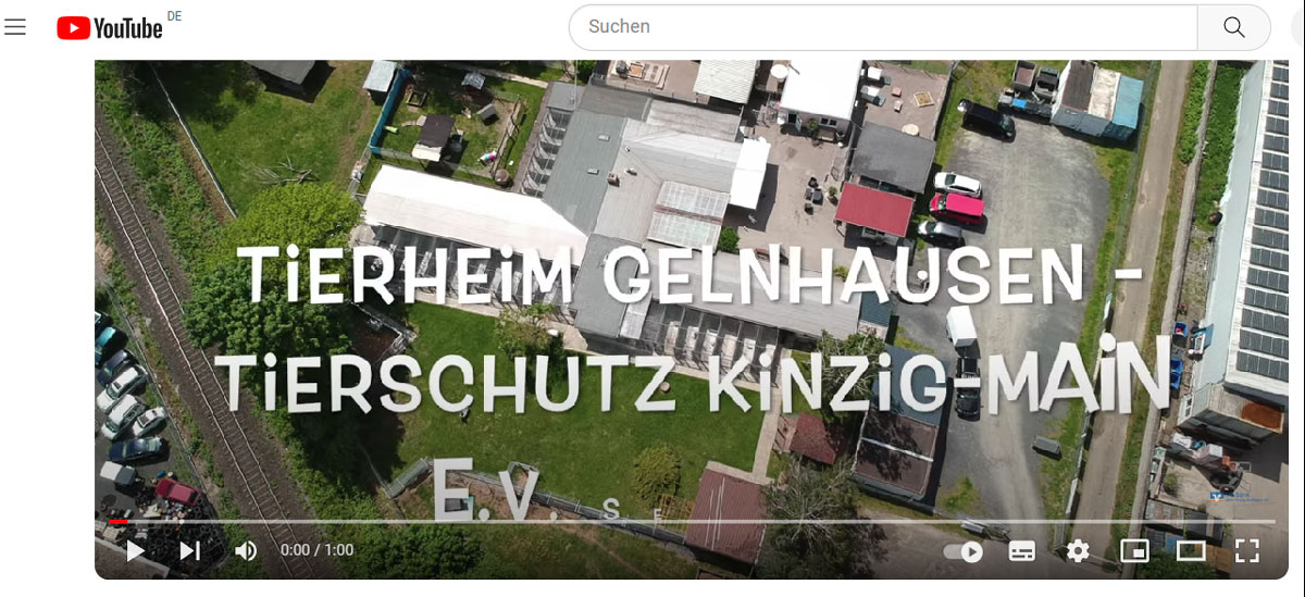 You are currently viewing Bitte 1 x liken“ Video-Wettbewerb – unser Verein „“Tierschutz Kinzig-Main e.V.“