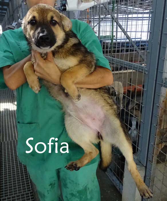 Sofia 31.10.23