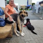 GalSommerfest24_Besuch3