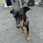 GalSommerfest24_Besuch4