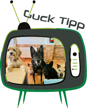 Tierheim Guck Tipp