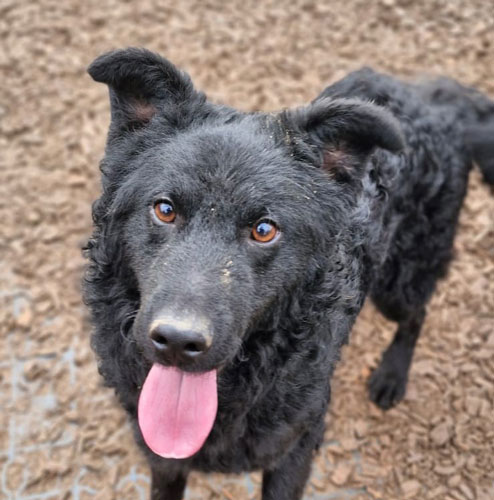 Du betrachtest gerade Hobbit