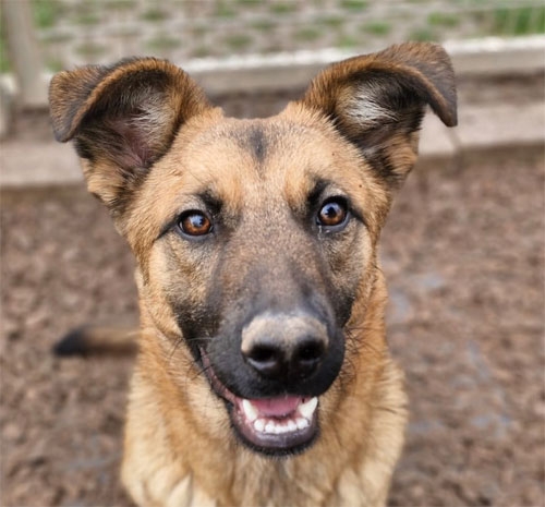 Du betrachtest gerade Jolly