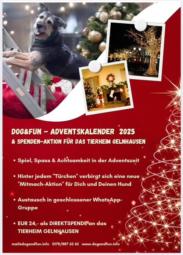 Du betrachtest gerade Dog & Fun Adventskalender Spendenaktion