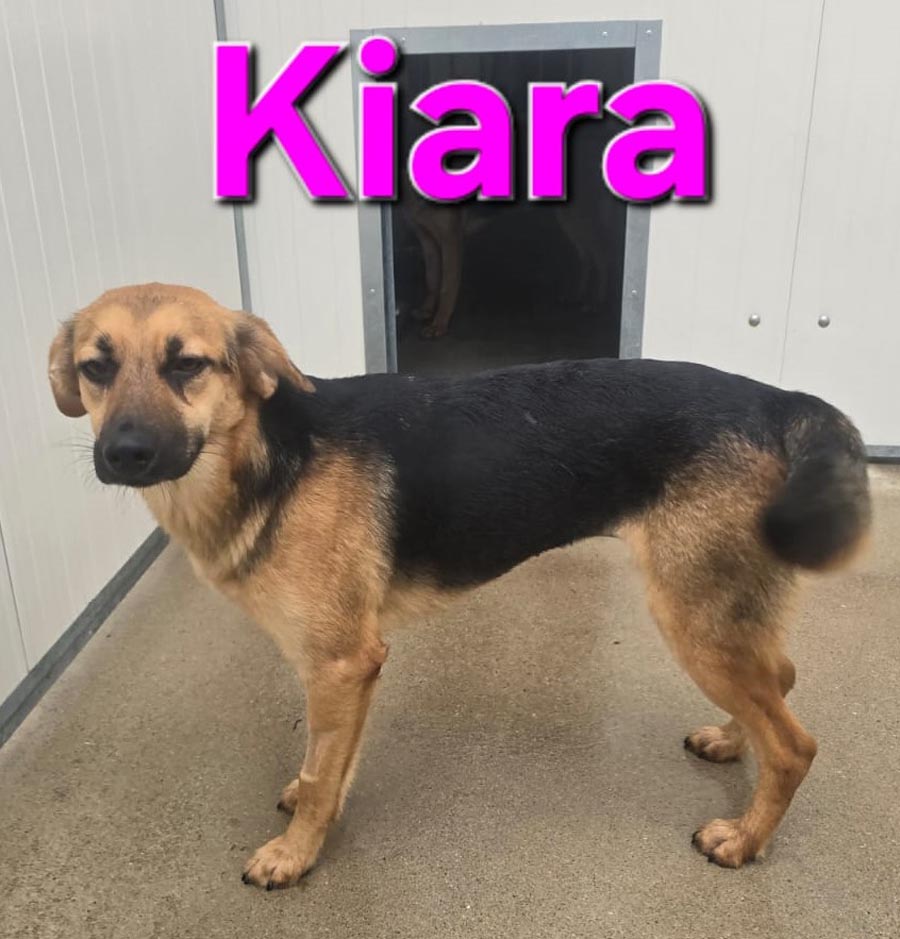 Du betrachtest gerade Kiara