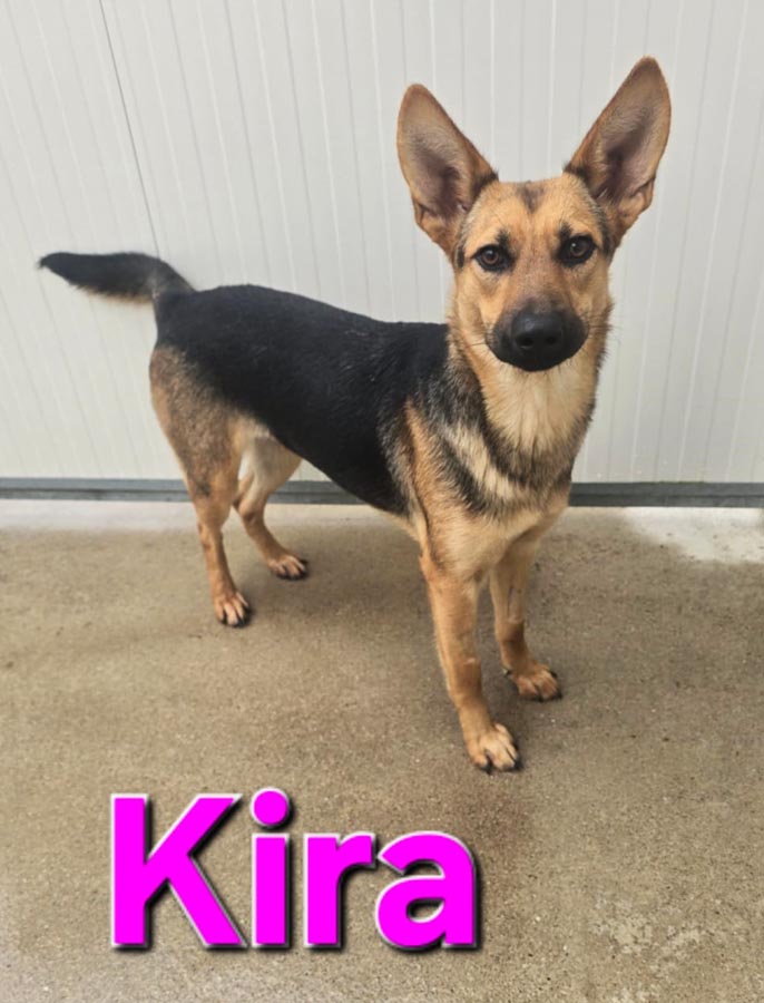 Du betrachtest gerade Kira