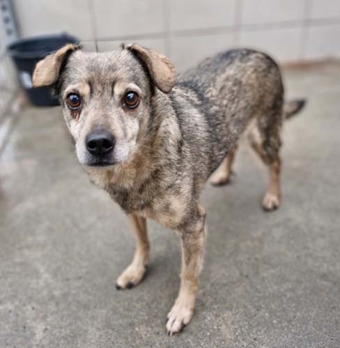 Du betrachtest gerade Roland