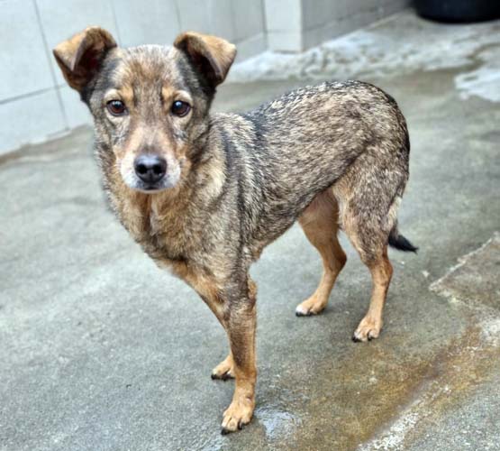 Du betrachtest gerade Ylena