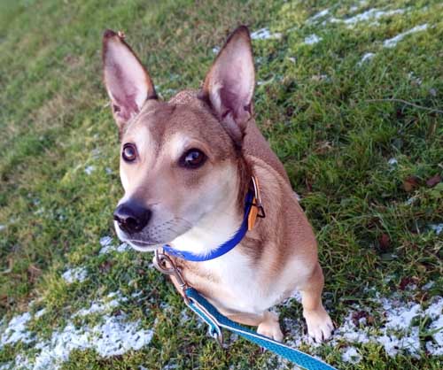 Du betrachtest gerade Luna CG