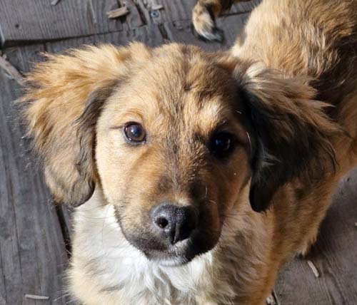 Du betrachtest gerade Cartos *RESERVIERT*