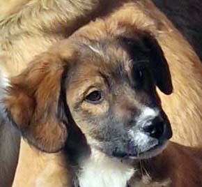 Du betrachtest gerade Claudio