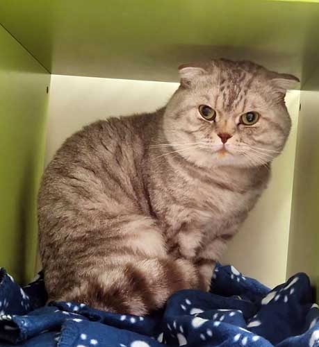 Du betrachtest gerade Pamuk *RESERVIERT*