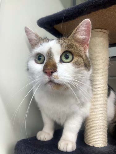 Du betrachtest gerade Marius