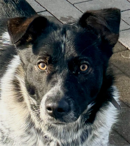 Du betrachtest gerade Joris