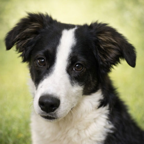 Du betrachtest gerade Narel